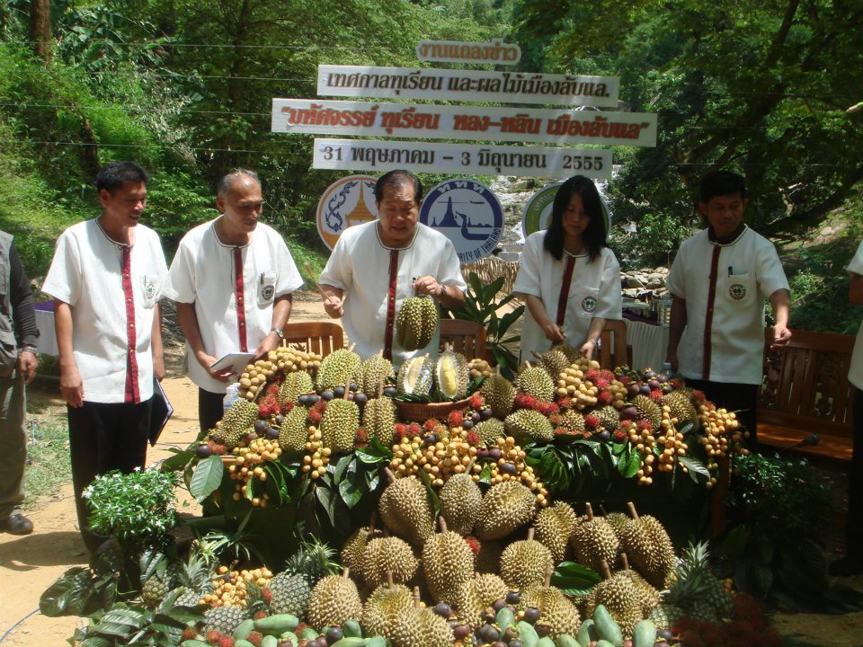 ททท. สำนักงานแพร่ ขอเชิญเที่ยวงาน                                 “เทศกาลทุเรียน และผลไม้เมืองลับแล” ประจำปี ๒๕๕๖